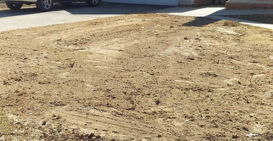 Land Clearing and Grading Services (1)