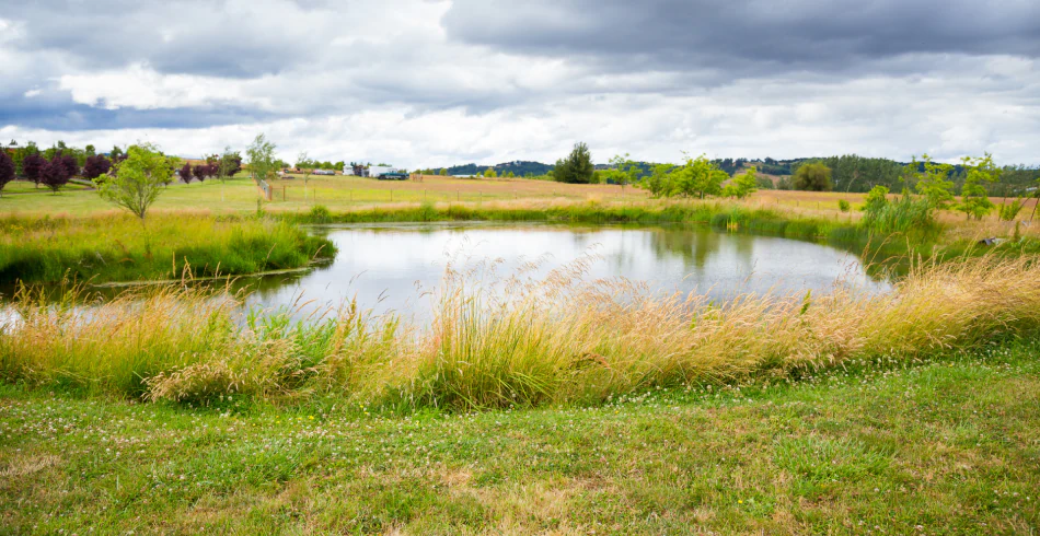 Pond Construction and Pond Repair Services (1)