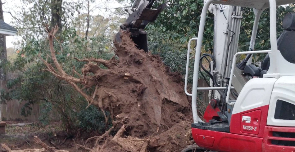 Tree and Stump Removal Services