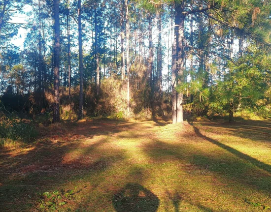 posey land development c